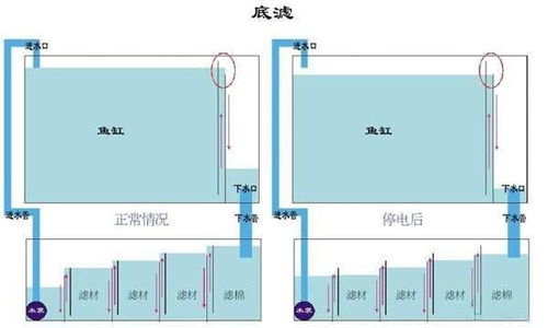 魚缸底濾改造注意事項