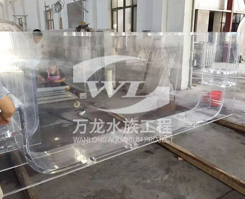 定做龍魚(yú)缸注意事項