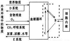 斜面培養基接種注意事項