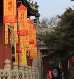 白云觀(guān)太歲符注意事項,拜太歲的注意事項,道觀(guān)拜太歲注意事項
