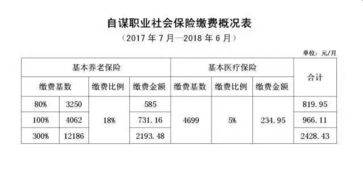 社保基數(shù)怎么申報(bào),社保基數(shù)申報(bào)是什么意思,社保基數(shù)申報(bào)時(shí)間