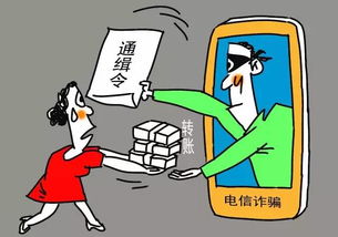 看管,注意事項(xiàng),對象,公安
