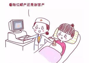 雙胎產(chǎn)后注意事項,雙采雙檢注意事項,孕雙胎注意事項