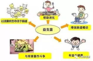 eb病毒飲食應注意事項