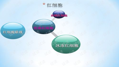 輸血,注意事項,ppt