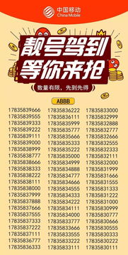 手機靚號過(guò)戶(hù)注意事項,買(mǎi)靚號需要注意事項,購買(mǎi)手機靚號過(guò)戶(hù)注意事項