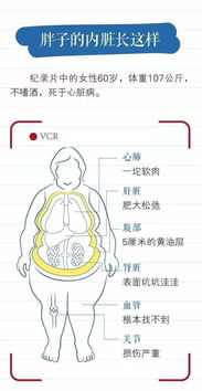 注意事項(xiàng),體重