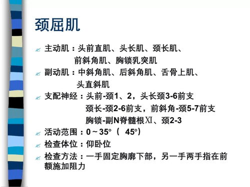 肌力評定的注意事項