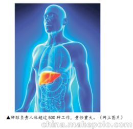 疲勞期需要注意事項