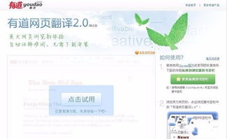網(wǎng)頁(yè)翻譯注意事項,翻譯合同的注意事項,文言文翻譯注意事項