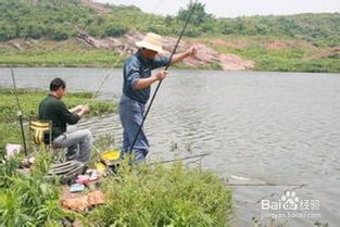 兒童釣魚(yú)游樂(lè )注意事項,兒童釣魚(yú)池注意事項,兒童釣魚(yú)安全注意事項