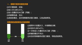 葛根素分離提取的注意事項