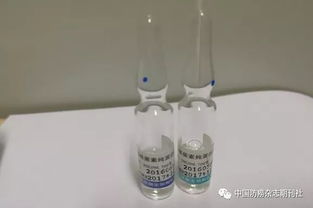 皮膚消毒試驗(yàn)操作過程注意事項(xiàng)