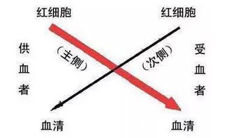 交叉,注意事項,實(shí)驗,聚凝胺