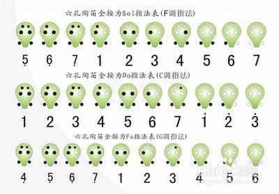 初學(xué)跑步注意事項,初學(xué)靜坐注意事項,初學(xué)游泳注意事項