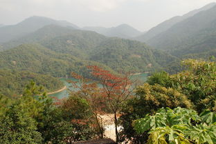 旅游注意事項須知,青海旅游注意事項,旅游安全注意事項
