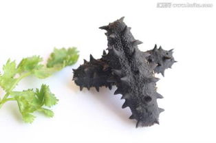 海參,注意事項