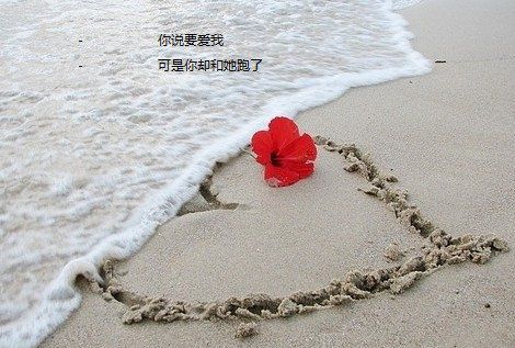 愛(ài)我你就忘了我