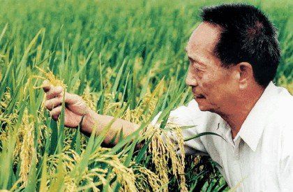 有愛(ài)不覺(jué)春天遠
