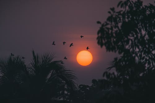 有關(guān)于描寫(xiě)兒童的古詩(shī)詞