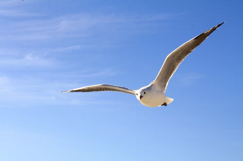 上海一位父親立下遺囑：女兒，你的孝心只值1塊錢(qián)