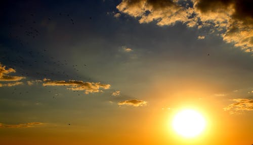 2020年給朋友的夏至祝福語(yǔ)合集25條