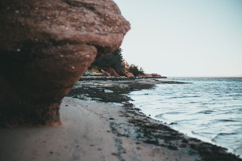 有關(guān)生活哲理語(yǔ)句錦集49句