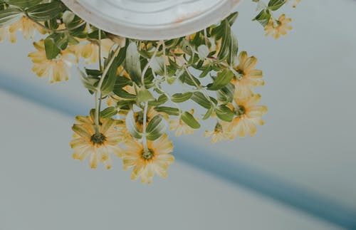 高中生活隨筆