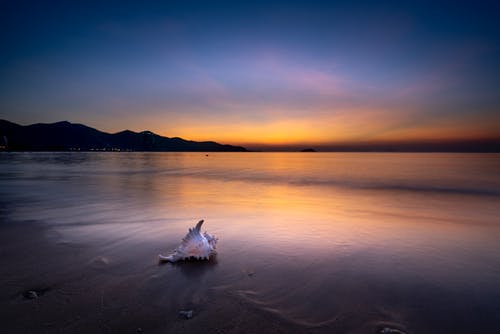 歡喜冤家穿成男配的工具人小說(shuō)顧語(yǔ)筠容觀(guān)止無(wú)錯版閱讀