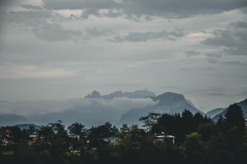【熱門(mén)】比賽日記范文集錦九篇