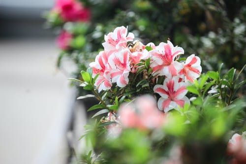 《小時(shí)代》顧源經(jīng)典臺詞