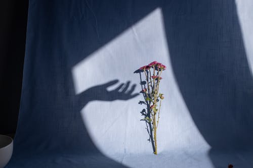 父母愛(ài)情經(jīng)典臺詞