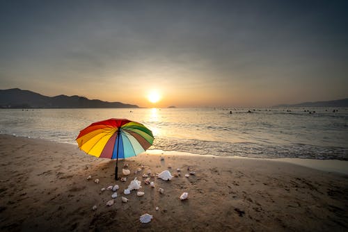 短篇小可愛(ài)別想逃小說(shuō)陳桉桉夏霽全篇閱讀