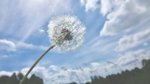 2021年冬至祝福語(yǔ)合集43句