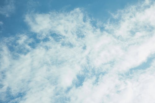 短篇故里逢春小說(shuō)裴安年沈黎無(wú)廣告閱讀