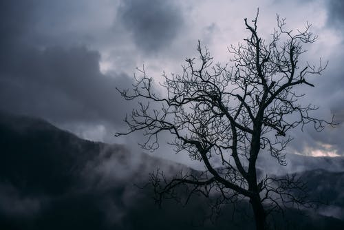 關(guān)于古詩(shī)作文合集9篇