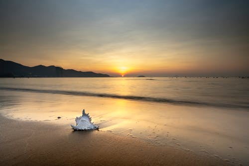 關(guān)于雪的詩(shī)句15篇