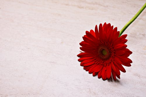無(wú)法重來(lái)的一生（經(jīng)典好文）