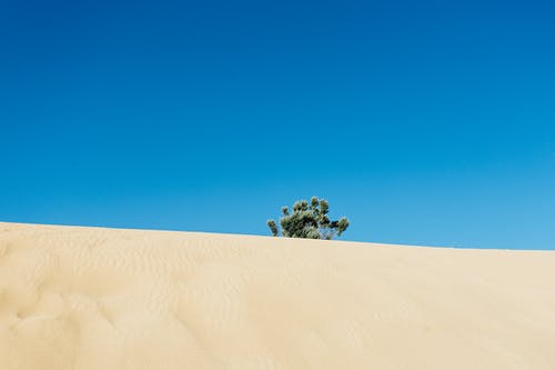 關(guān)于剃頭的生活隨筆