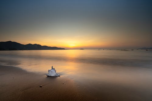 胖子勵志語(yǔ)錄大全