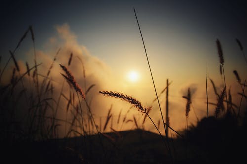 過(guò)簡(jiǎn)約生活隨筆