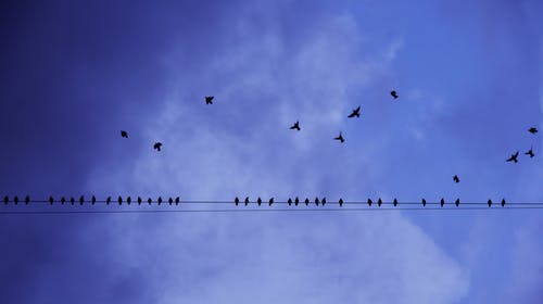 2020年父親節(jié)給爸爸的祝福語(yǔ)微信摘錄22條