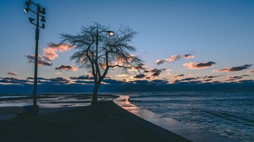 東方玄幻凌天劍帝小說(shuō)主角林澈章節閱讀