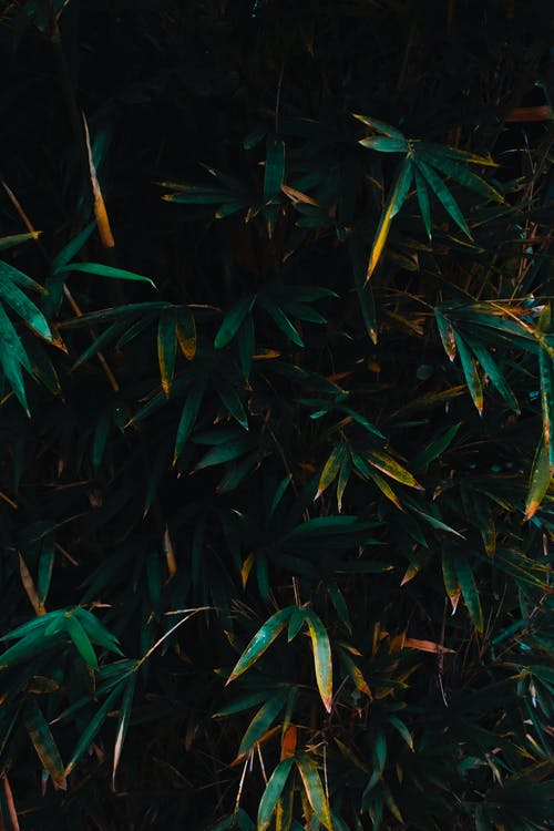 五年級讀后感自傳的讀后感8