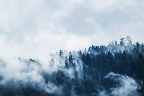 關(guān)于春游日記范文六篇