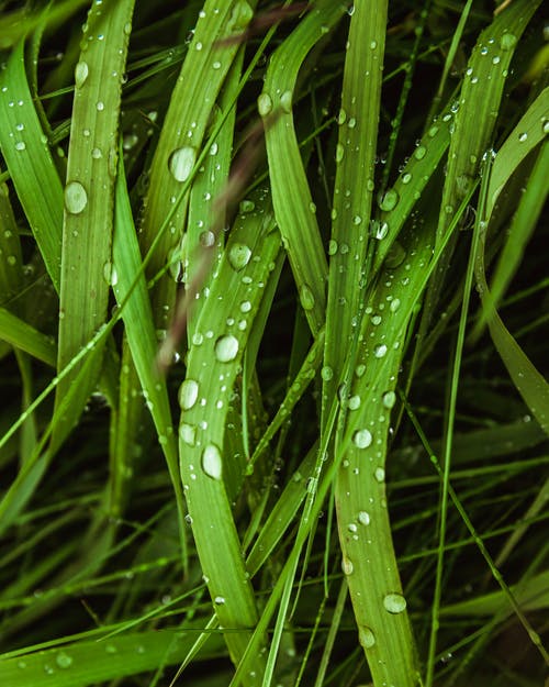 【精品】會(huì )計實(shí)習日記范文5篇