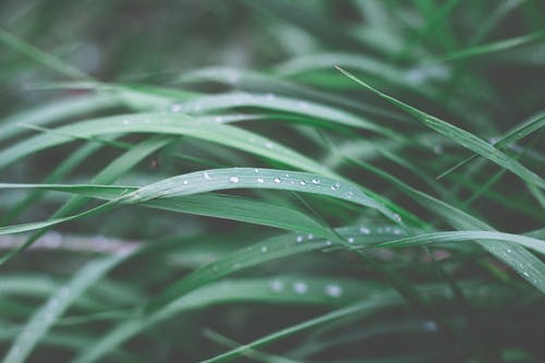 逆襲玩世醫狂小說(shuō)陳二蛋楊雪柳無(wú)廣告閱讀