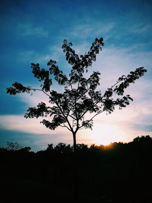假如幸福來(lái)臨經(jīng)典臺詞