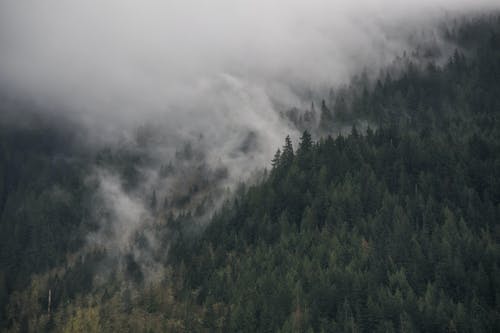 三國最強爭霸系統小說(shuō)穿越男主劉云目錄閱讀
