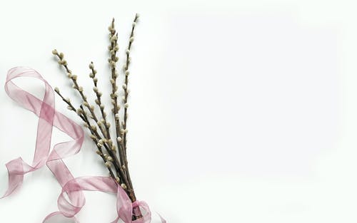 熱文戰神強勢歸來(lái)小說(shuō)葉無(wú)道徐靈兒搶先閱讀